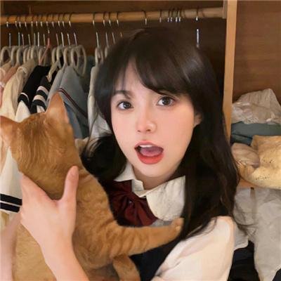 大宋疑云